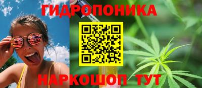 марихуана Камышлов